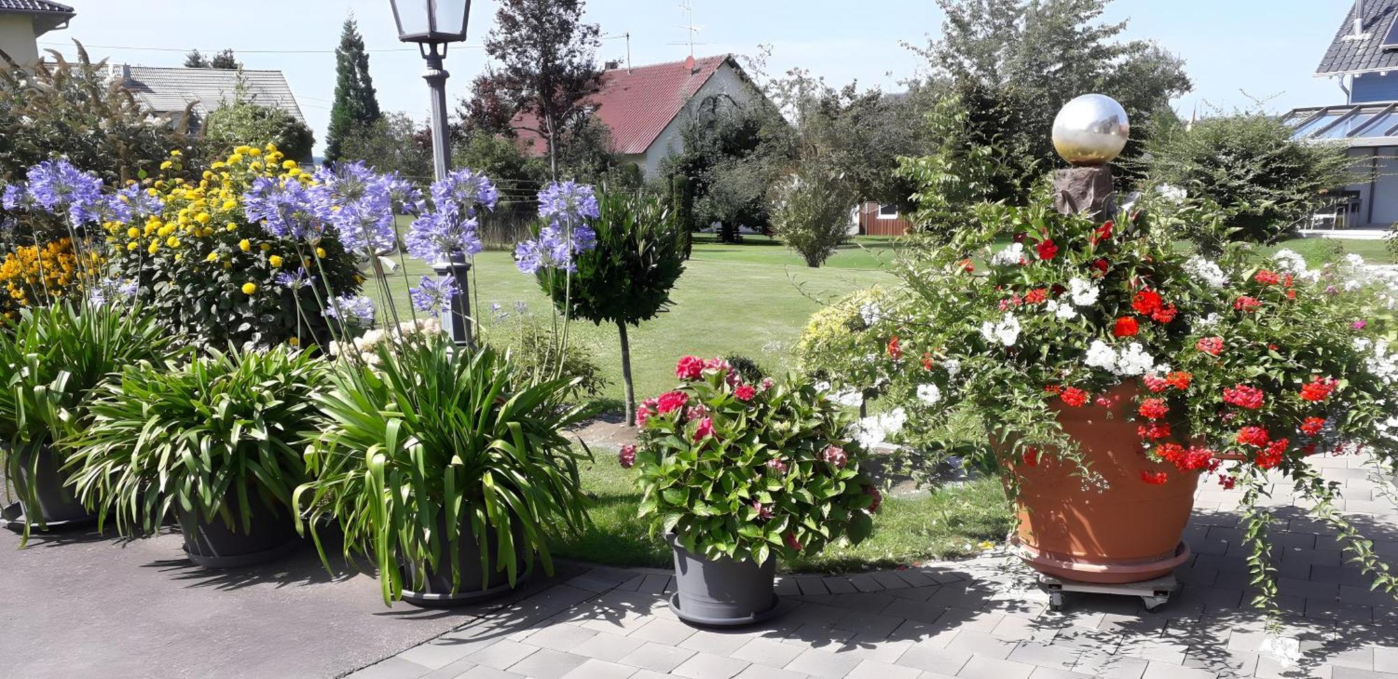 Feriendomizil Berta Benzingen Apartamento Winterlingen Exterior foto